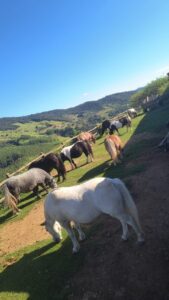 WhatsApp-Image-2026-04-14-at-15.01.56