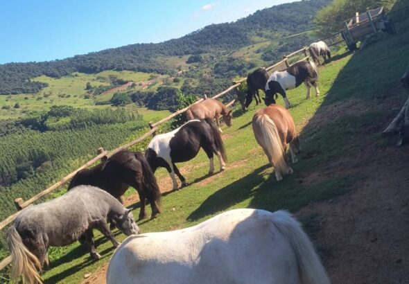 WhatsApp-Image-2026-04-14-at-15.01.56