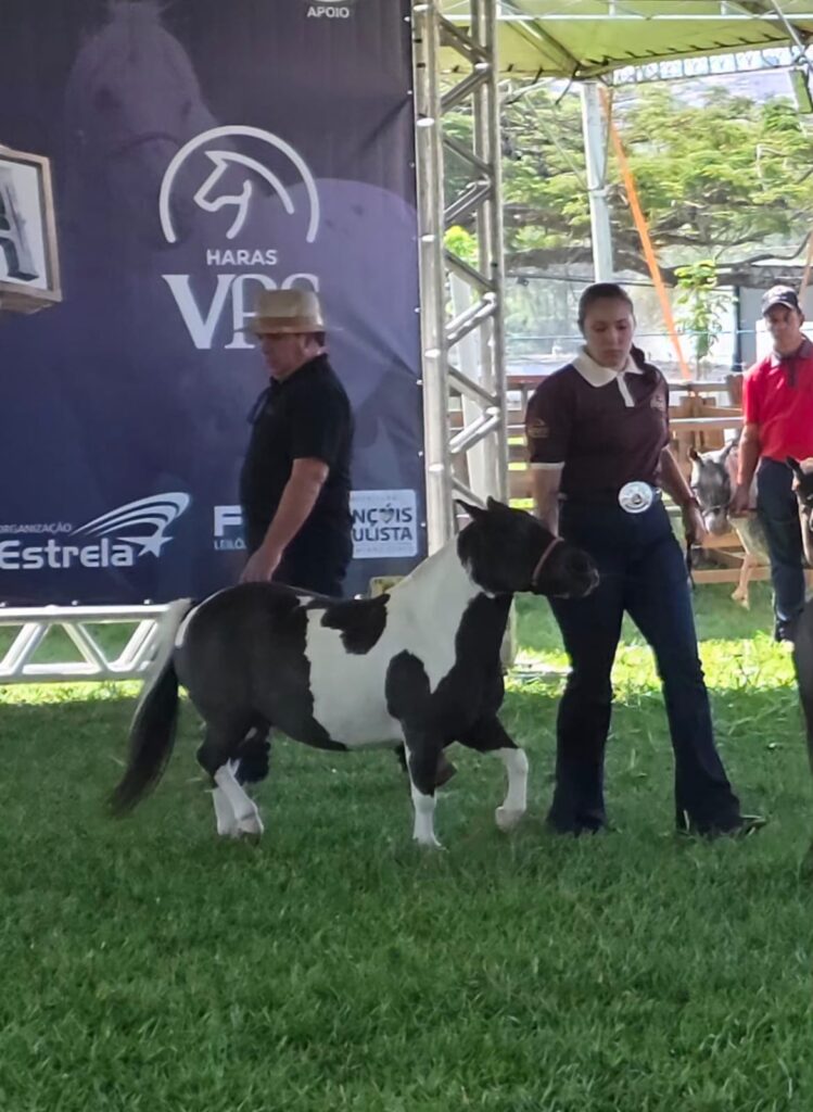 WhatsApp-Image-2026-04-26-at-12.41.15-1