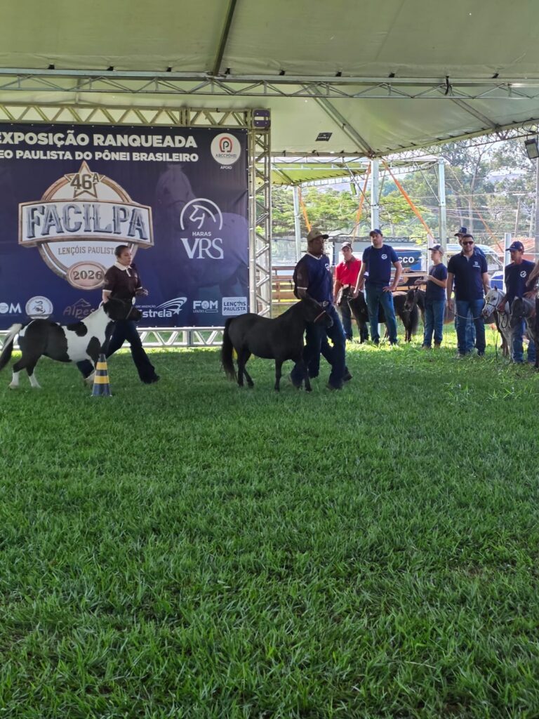 WhatsApp-Image-2026-04-26-at-12.41.15