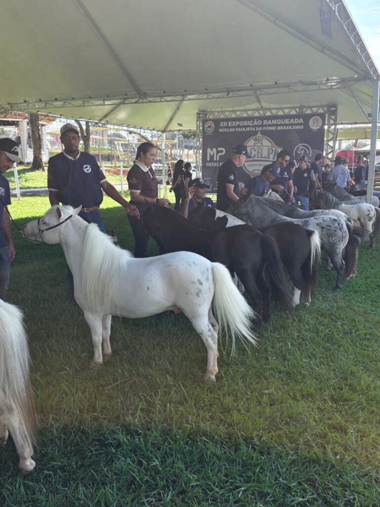 WhatsApp-Image-2026-04-26-at-12.41.16-1