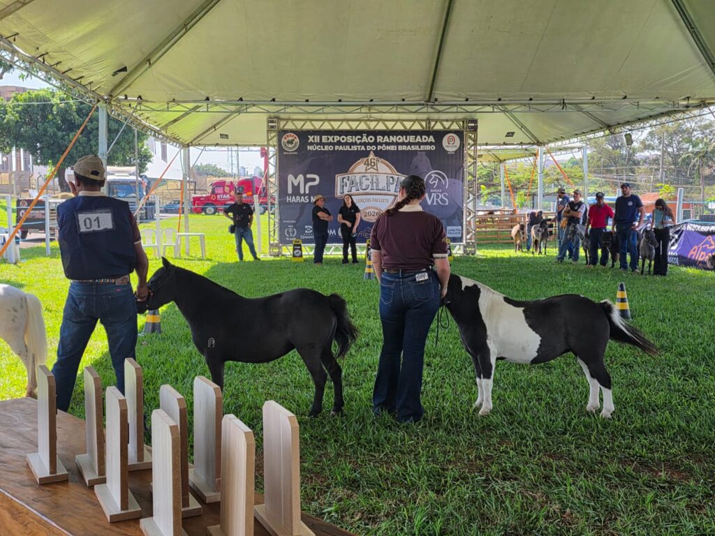 WhatsApp-Image-2026-04-26-at-12.41.16-2