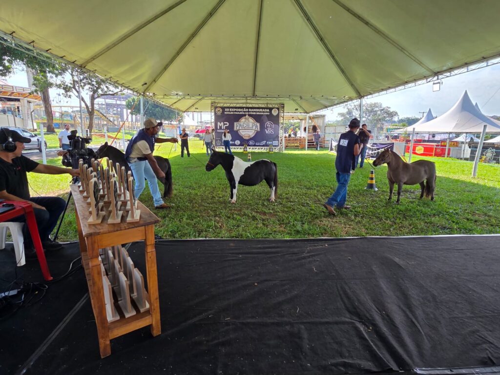 WhatsApp-Image-2026-04-26-at-12.43.51-1