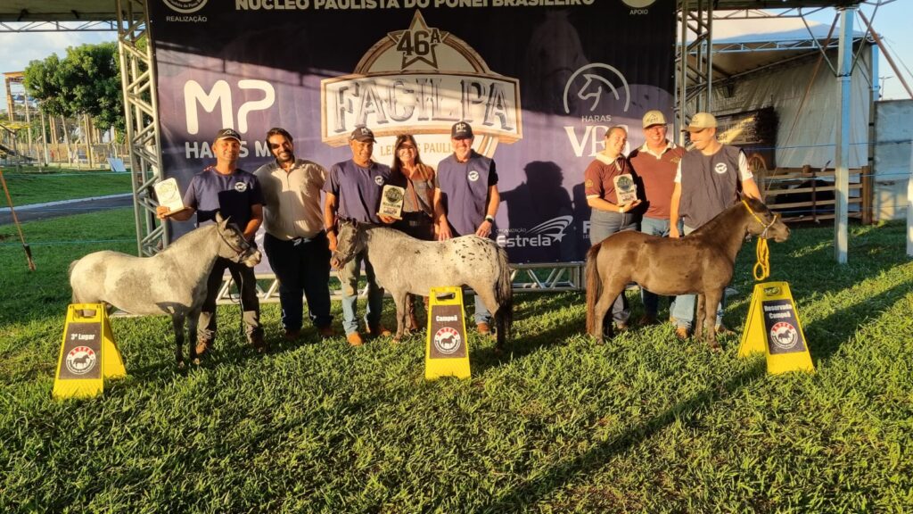 WhatsApp-Image-2026-04-26-at-12.44.10-1