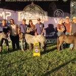 WhatsApp-Image-2026-04-26-at-12.44.10-1