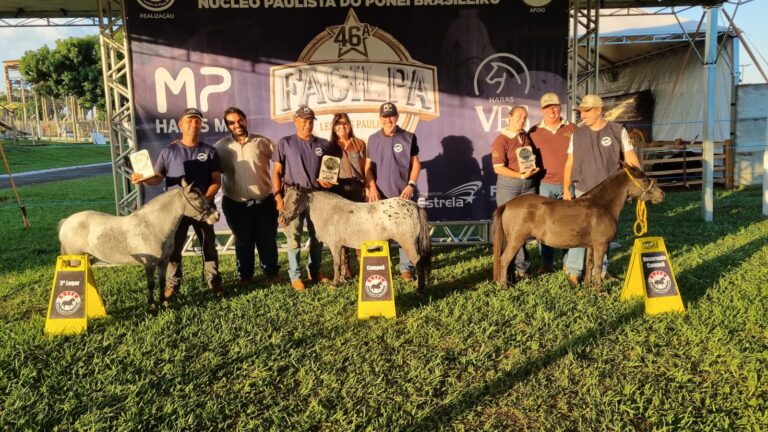 WhatsApp-Image-2026-04-26-at-12.44.10-1