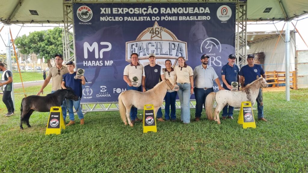 WhatsApp-Image-2026-04-26-at-12.44.11-2