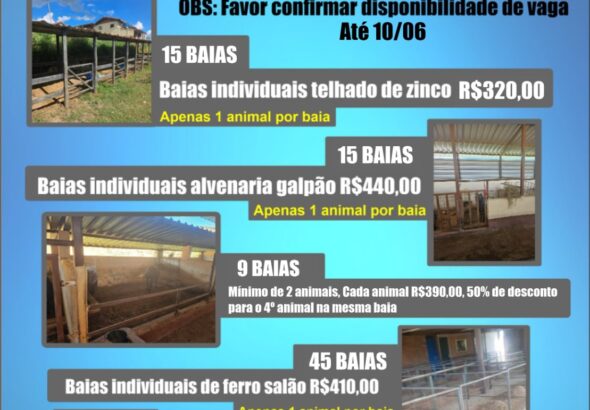 WhatsApp-Image-2026-04-30-at-11.45.10