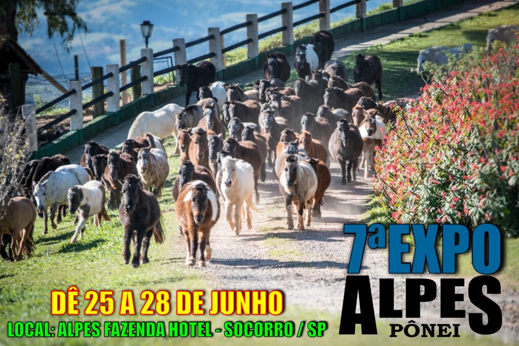 BANNER-7-EXPO-1024x683.jpg